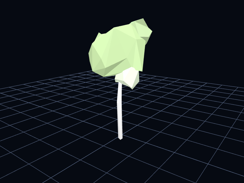 Birch